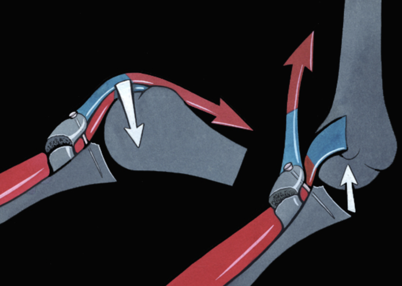 File:Capture d’écran 2020-01-28 à 22.03.20.png