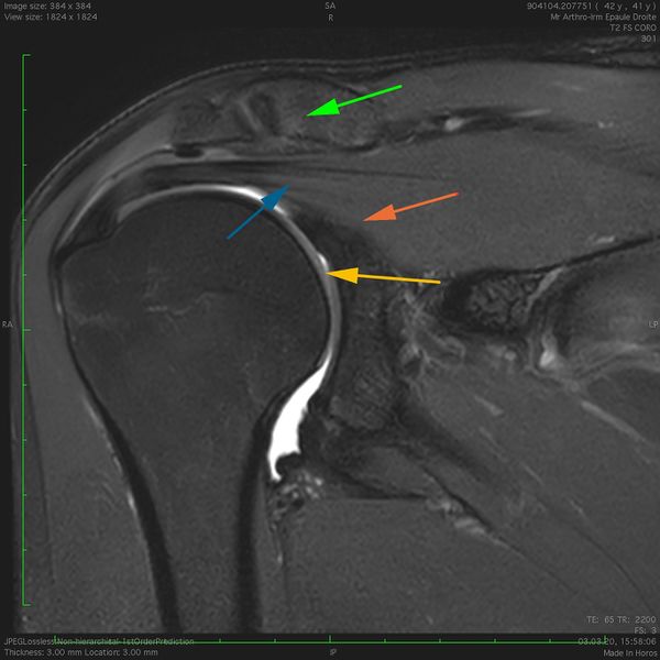 File:Figure 7 jpeg.jpg