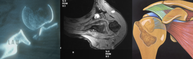 File:Capture d’écran 2020-07-13 à 23.32.53.png