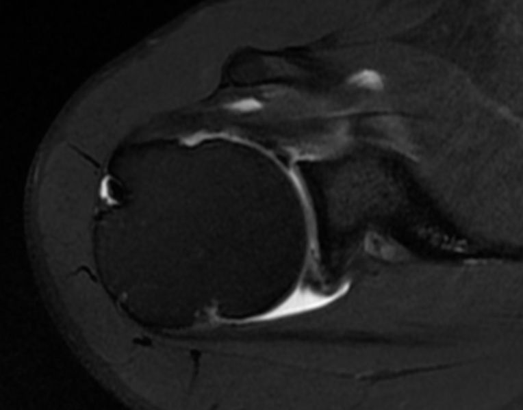 File:Figure 27 jpeg.jpg