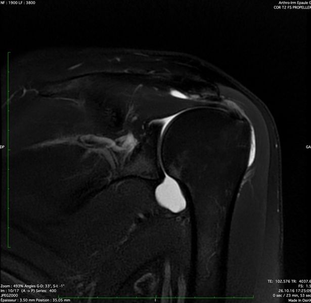 File:Figure 12 jpeg.jpg