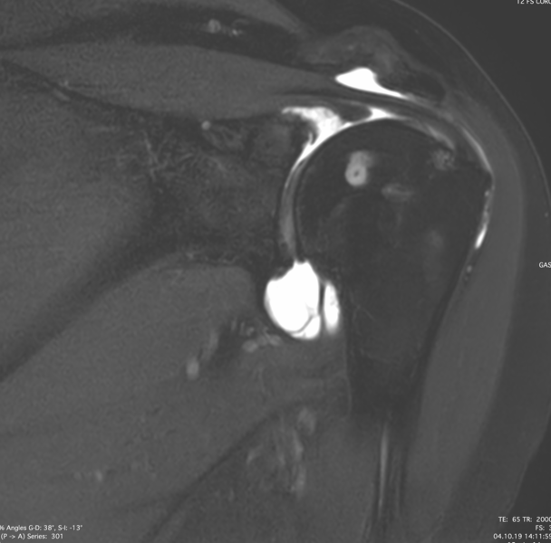 File:Capture d’écran 2020-01-28 à 06.37.02.png