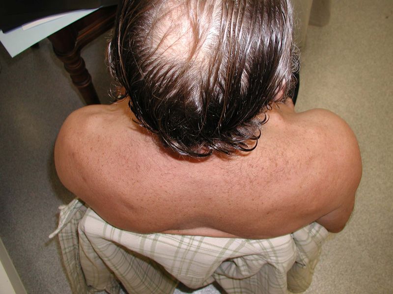 File:Figure 8 jpeg.jpg