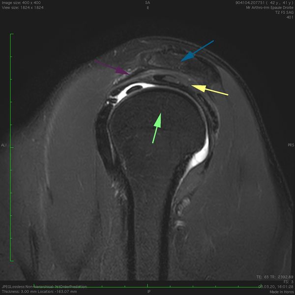 File:Figure 5 jpeg.jpg